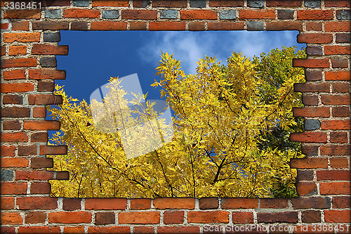 Image of broken brick wall and view to Autumn yellow tree