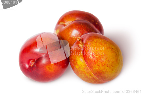 Image of Three yellow and red plum near