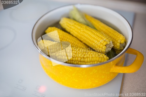 Image of Freshly corn 