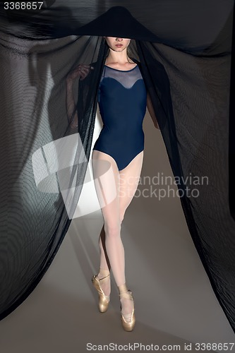 Image of Portrait of the young dancer with a nice black veil cloth