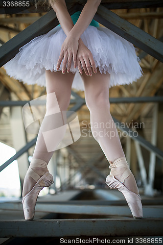 Image of Cropped picture legs of graceful ballerina in white tutu