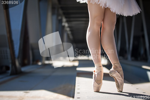 Image of Cropped picture legs of graceful ballerina in white tutu