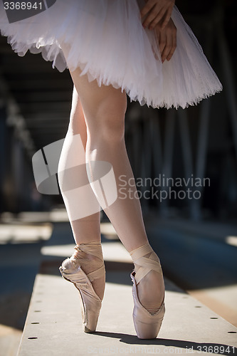 Image of Cropped picture legs of graceful ballerina in white tutu
