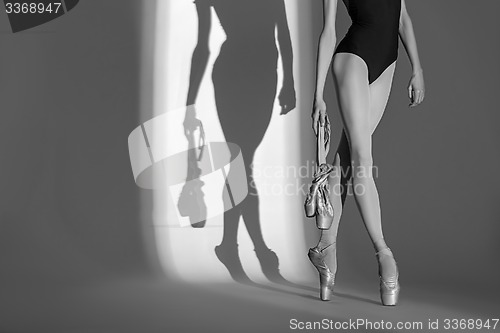 Image of Cropping portrait of the legs graceful ballerina in a studio 