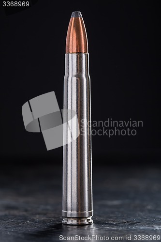 Image of One cartridge with copper bullet and lead tip