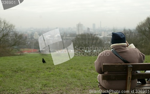 Image of Park Bench