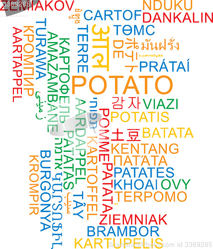 Image of Potato multilanguage wordcloud background concept