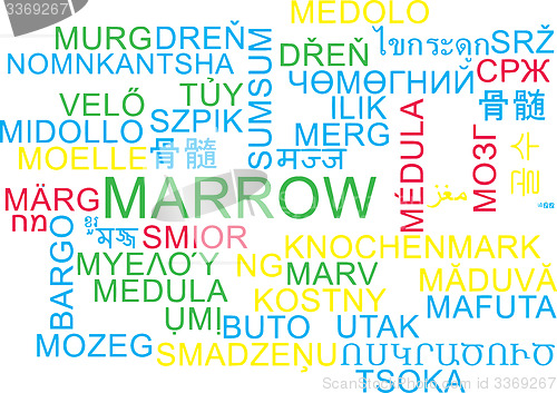 Image of Marrow multilanguage wordcloud background concept