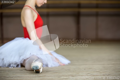 Image of ballerina on tutu