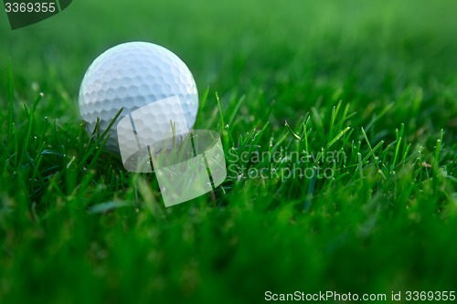 Image of golf ball