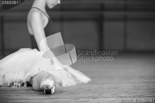 Image of ballerina on tutu