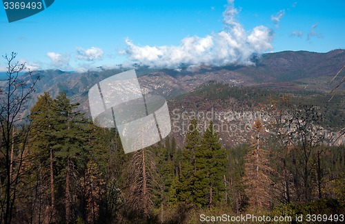 Image of Yosemite Valley View