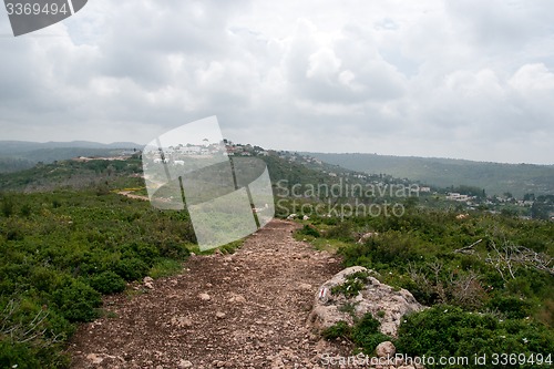 Image of Spring season landscape