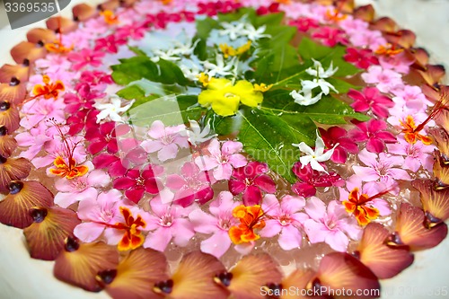 Image of Beautiful oriental flowers