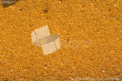 Image of Desert sand pattern texture