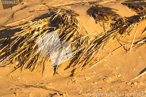 Image of Desert sand pattern texture