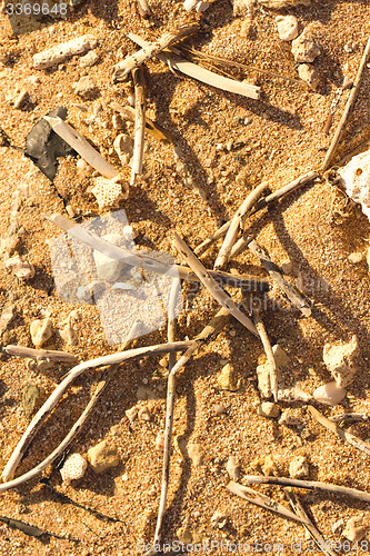 Image of Desert sand pattern texture