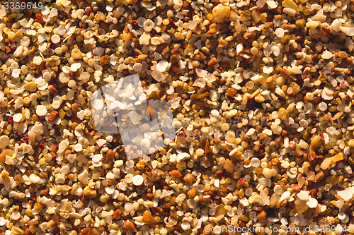 Image of Desert sand pattern texture