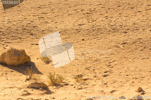 Image of Desert sand pattern texture