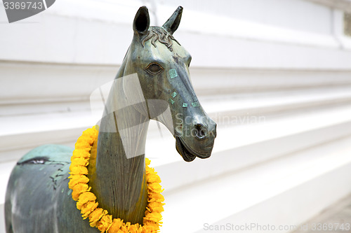 Image of horse  in the temple bangkok asia  bronze   wat  palaces   