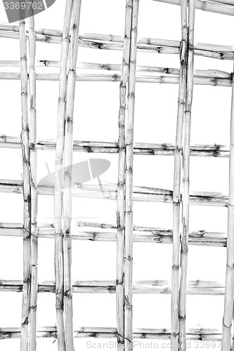 Image of morocco abstract bamboo roof in the  africa  sky