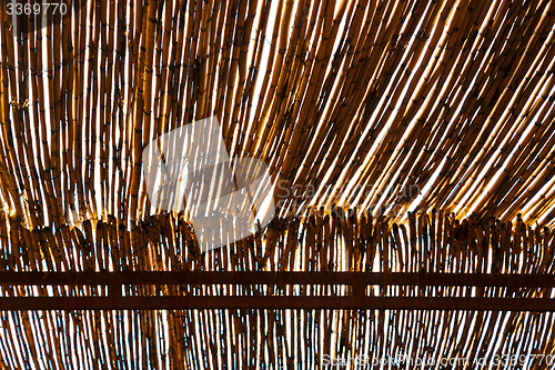 Image of morocco abstract bamboo roof in   africa   