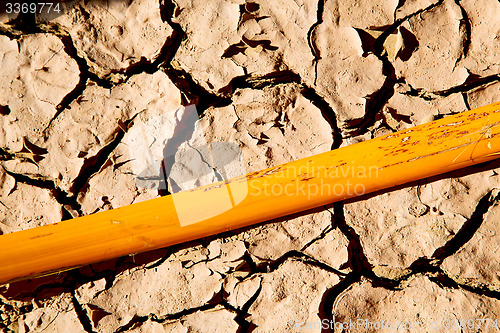 Image of cracked sand in   africa   macro bark