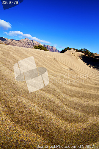 Image of abstract yellow dune beach  hil and mountain    spain 