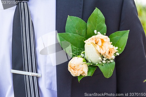 Image of Portrait of the bride and groom 