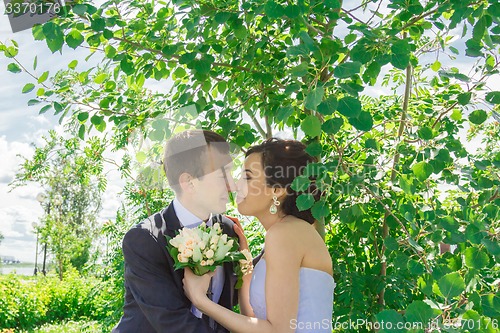 Image of Portrait of the bride and groom   