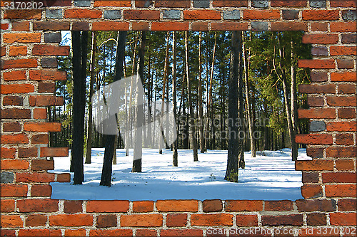 Image of broken brick wall and view to Winter forest