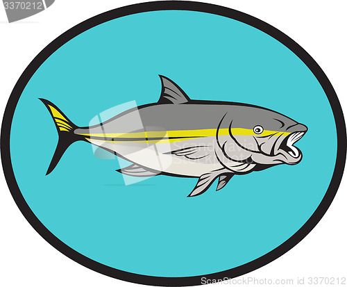 Image of Yellowtail Kingfish Oval Cartoon