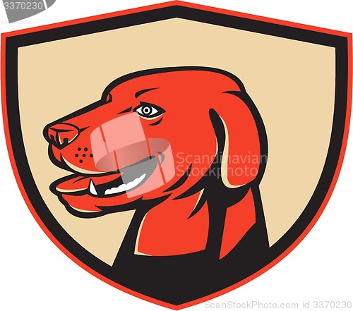 Image of Labrador Golden Retriever Dog Head Shield Retro