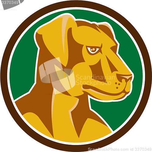 Image of Labrador Golden Retriever Dog Head Circle Retro