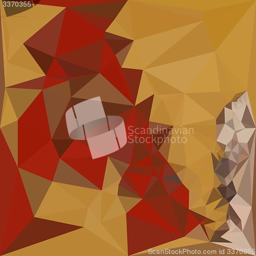 Image of Red Ginger Abstract Low Polygon Background