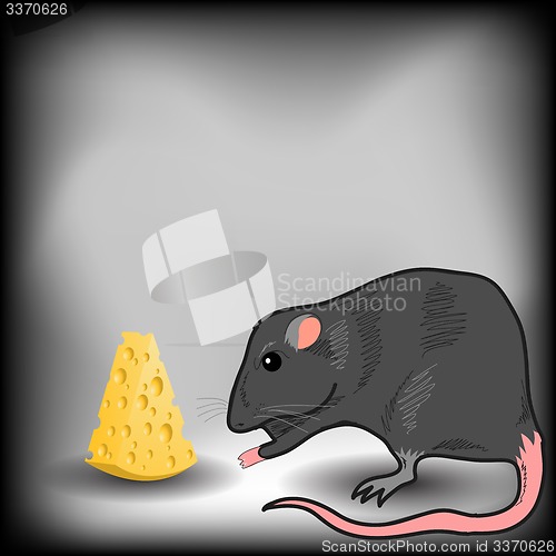 Image of Rat and Cheese