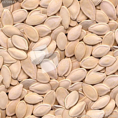 Image of Pumpkin Seeds Seamless Background