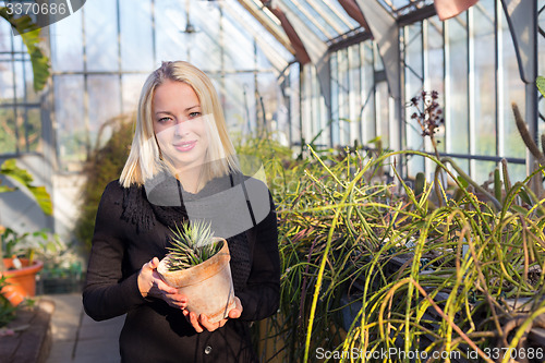 Image of Florists woman working in greenhouse. 