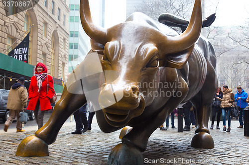 Image of Charging Bull in Lower Manhattan, NY.