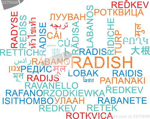Image of Radish multilanguage wordcloud background concept