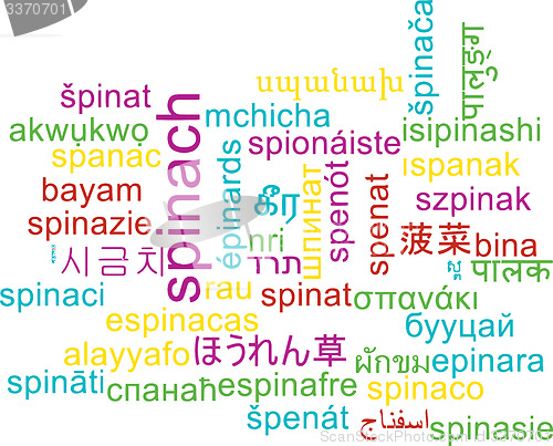 Image of Spinach multilanguage wordcloud background concept