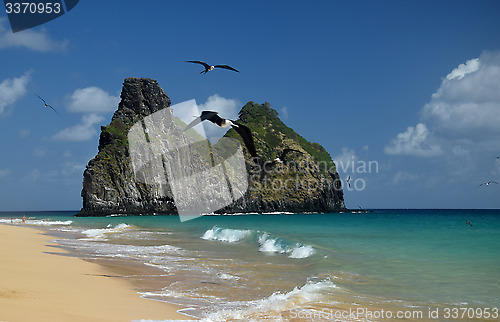 Image of Crystalline sea beach in Fernando de Noronha, Brazil