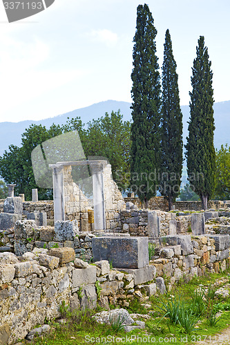 Image of volubilis in morocco africa the old cypress