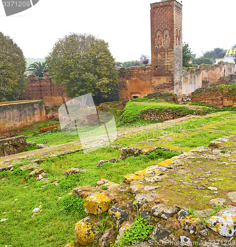 Image of chellah  in morocco africa the old roman deteriorated monument a