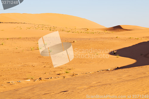 Image of sunshine in the  dune