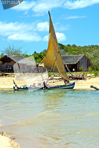 Image of pirogue beach seaweed in indian ocean  house  people   