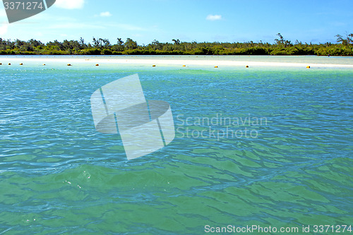 Image of beach ile du cerfs seaweed in indian  n   sand isle  sky  rock