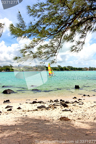 Image of lagoon  beach seaweed in sail