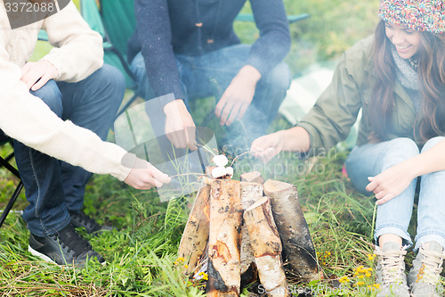 Image of close up of hikers roasting marshmallow on fire