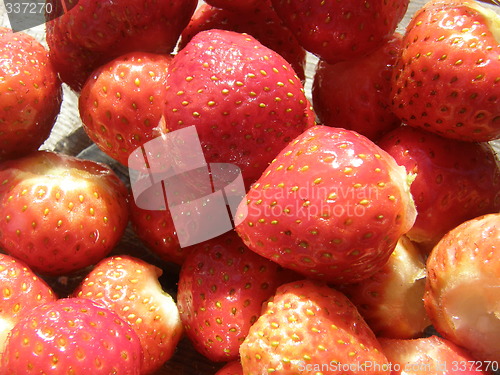 Image of Strawberry